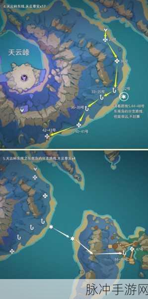 原神天云草实位置全揭秘，获取不再迷茫