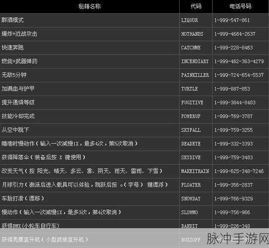 GTA5 PC 版无限金币作弊码秘籍大揭秘