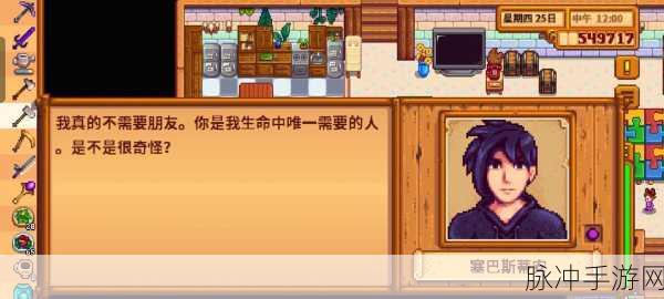 星露谷物语塞巴斯蒂安行踪大揭秘