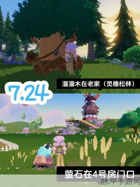 心动小镇中溜溜木的神秘藏身之处