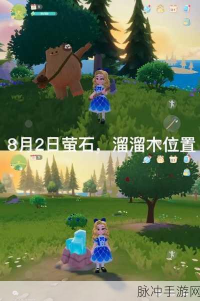 心动小镇中溜溜木的神秘藏身之处