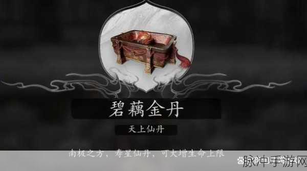 黑神话悟空，探秘天上仙丹获取秘籍