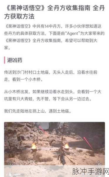 黑神话悟空，探秘天上仙丹获取秘籍