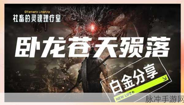 卧龙苍天陨落，探索最高等级的奥秘与攻略