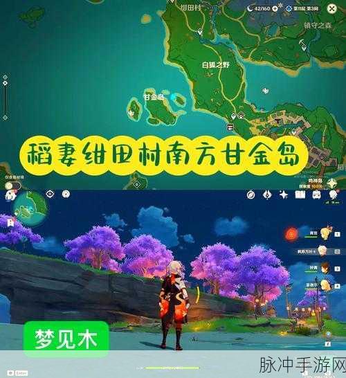 原神尘歌壶获取秘籍大公开
