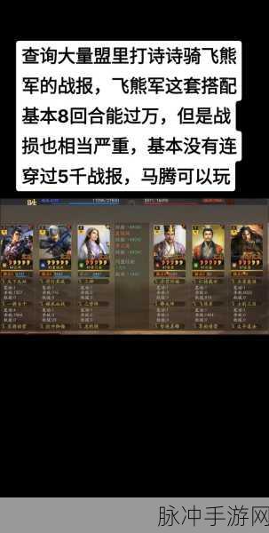 深度剖析三国志战略版飞熊军，实力与策略的较量