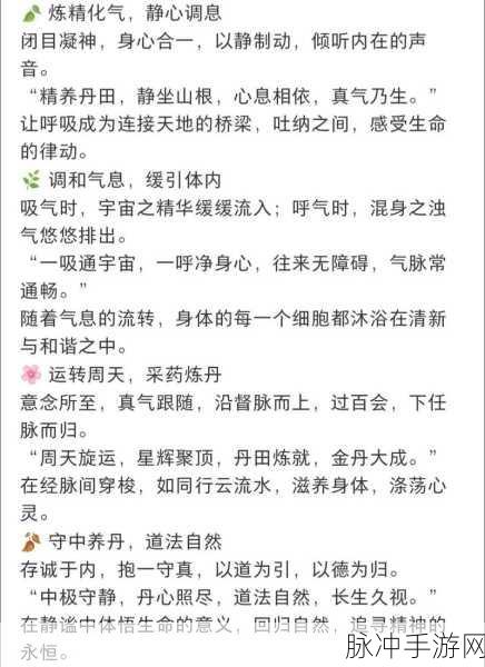 觅长生炼丹感悟高效提升秘籍