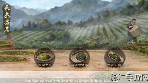 率土之滨庐山云雾活动通关与采茶玩法全攻略