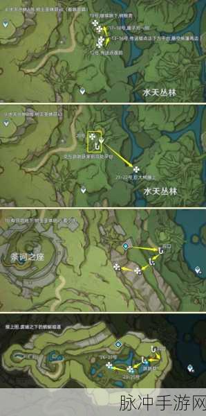 原神树王圣体菇位置与采集路线全攻略