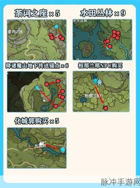 原神树王圣体菇位置与采集路线全攻略