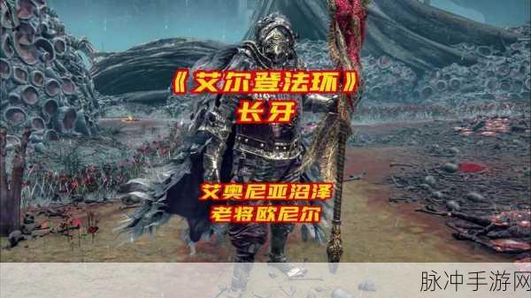 艾尔登法环艾奥尼亚沼泽金针全揭秘
