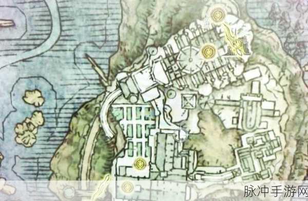艾尔登法环艾奥尼亚沼泽金针全揭秘