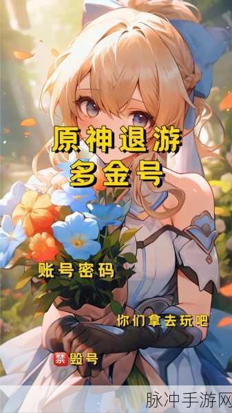 原神账号密码之谜，探寻土豪的弃号