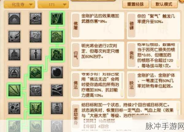 2024 梦幻西游手游，69 化生寺加点秘籍全解析