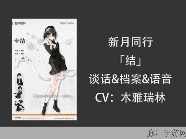 新月同行，等级飞升秘籍大公开