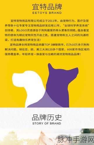 时间之钥宠物培养秘籍大公开