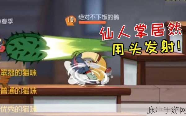猫和老鼠手游，牛仔汤姆猫仙人掌弹弓超强攻略