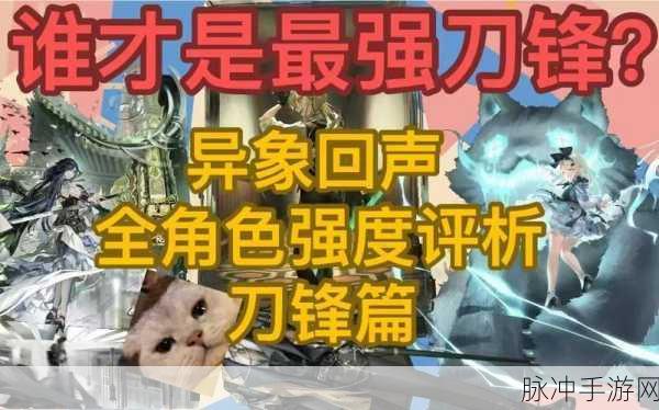 异象回声角色强度全解析，助你称霸游戏战场