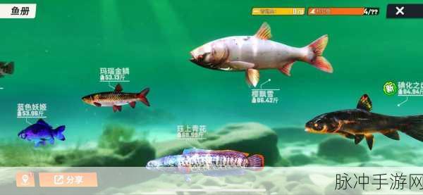 欢乐钓鱼大师鱼类图鉴解锁秘籍大公开