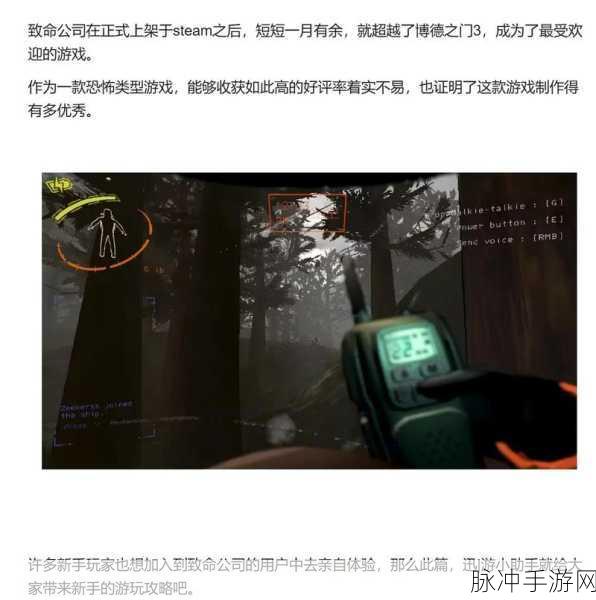 致命公司中按键说话的详细攻略指南