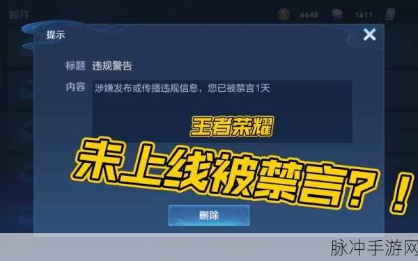 王者荣耀禁言解除秘籍大公开