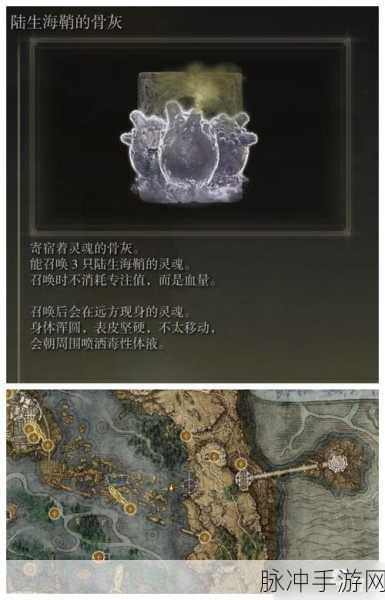 艾尔登法环骨灰实用指南，解锁强大助力