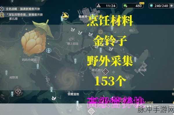 鸣潮金铃子收集秘籍，轻松获取全攻略