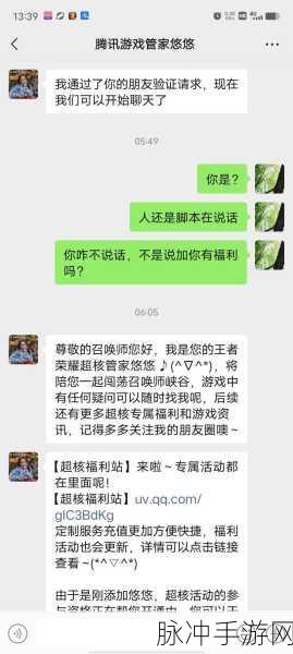 王者荣耀超核玩家充值探秘，金额背后的秘密