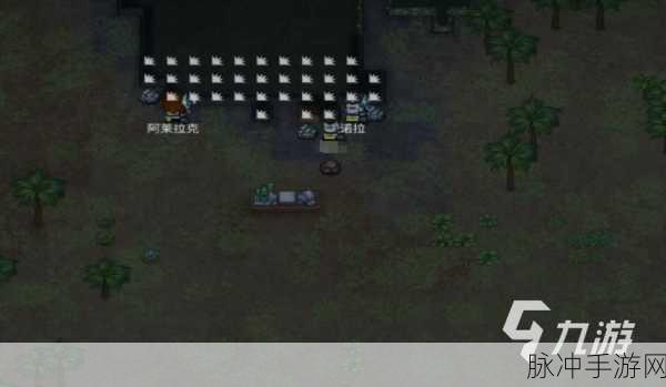 秩序新曙光，全方位玩法攻略指南
