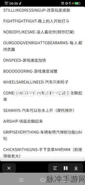 GTA5 差传秘籍，全面解析与实战指南