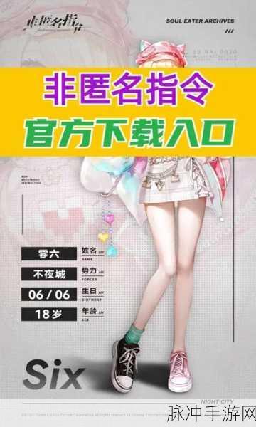 非匿名指令，解锁支援协议的全面指南