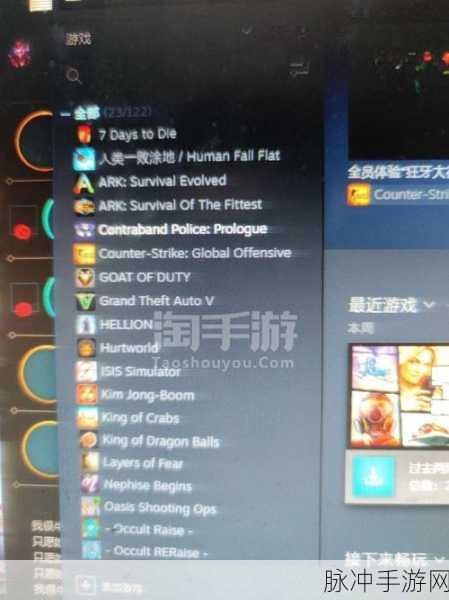 GTA5 手游，获取海量金钱代码大揭秘