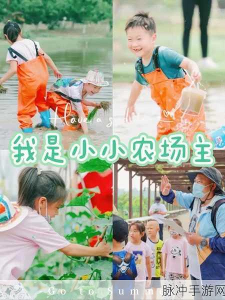 我是农场主，赚钱与提现的真相探究