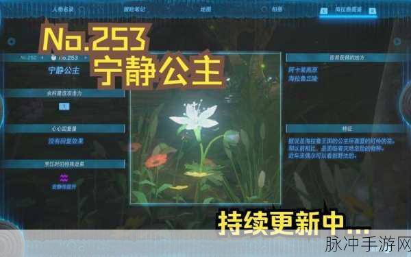 塞尔达传说王国之泪，宁静公主高效刷取地点全解析