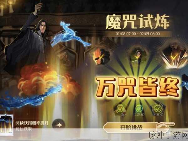 哈利波特魔法觉醒，轻松掌握查看魔杖秘籍