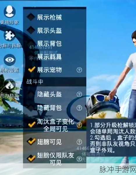 和平精英隐藏头盔设置秘籍大揭秘