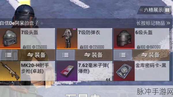 和平精英隐藏头盔设置秘籍大揭秘