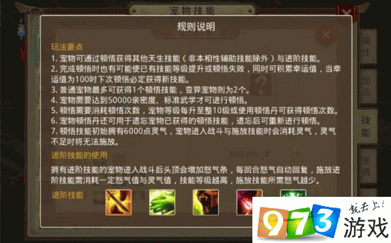 问道手游宠物顿悟秘籍，解锁超强实力的关键