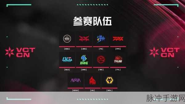 2024 无畏契约 CN 联赛季后赛战队大揭秘