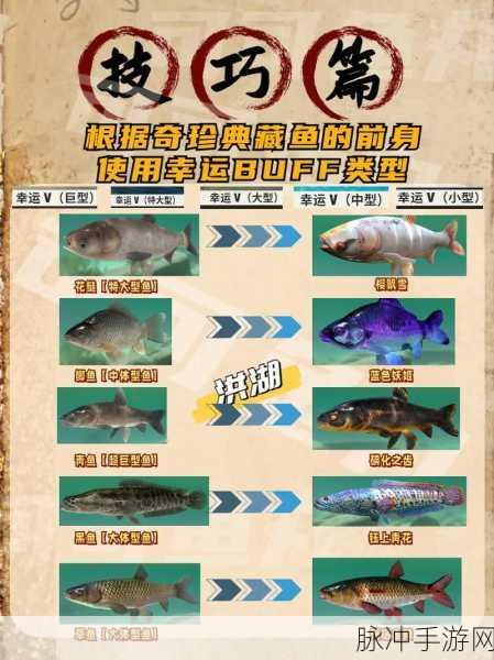 欢乐钓鱼大师 3888 钻石礼包码全解析