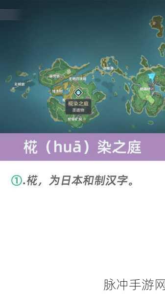 原神，那些生僻字，你都认识吗？