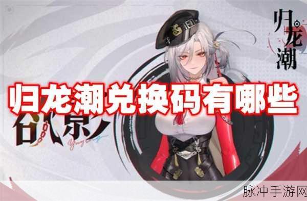 归龙潮兑换码使用全攻略