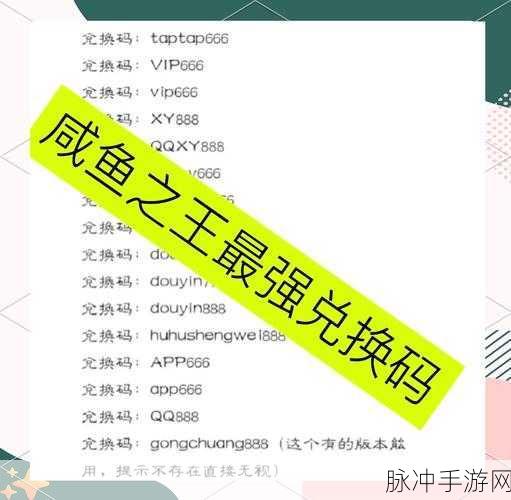 2024 咸鱼之王礼包码全揭秘 畅玩手游攻略指南