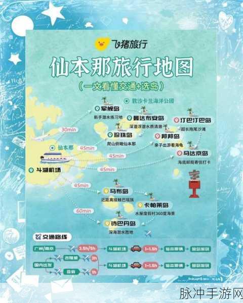 梦想海岛王 2024 兑换码全攻略，畅玩海岛之旅