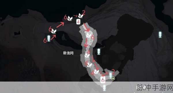 鸣潮龙吐珠采集位置全揭秘