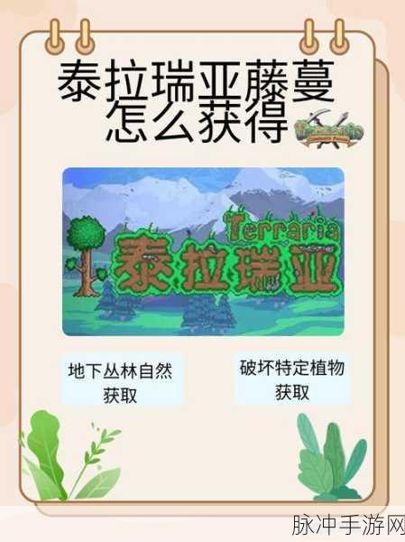 泰拉瑞亚藤蔓获取秘籍大公开