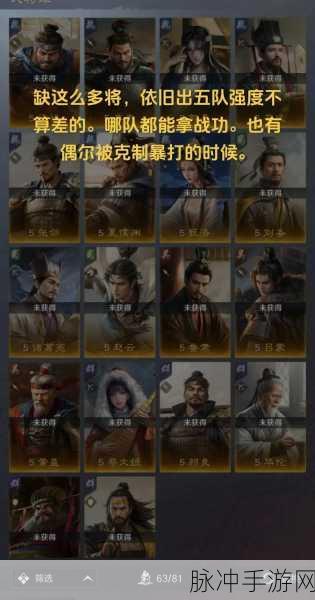 三国志战略版天下骑顶配攻略大揭秘
