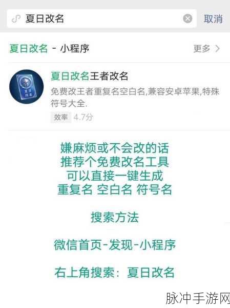 王者荣耀空白昵称的神秘玩法与策略指南