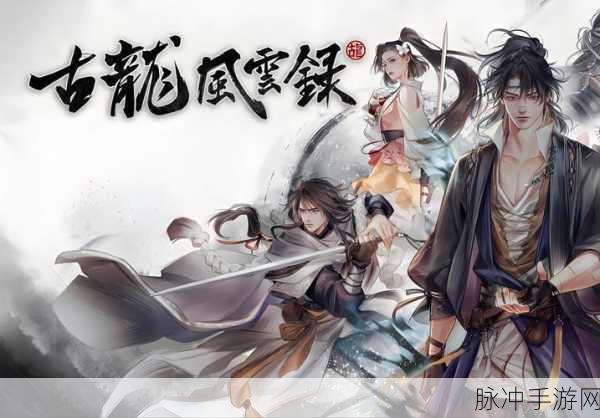 古龙风云录，角色加点秘籍大公开