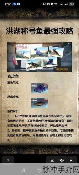 欢乐钓鱼大师体力恢复秘籍大公开